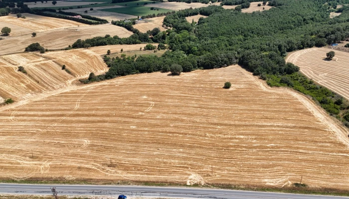 WhatsApp Image 2025-06-30 at 17.38.23.jpg