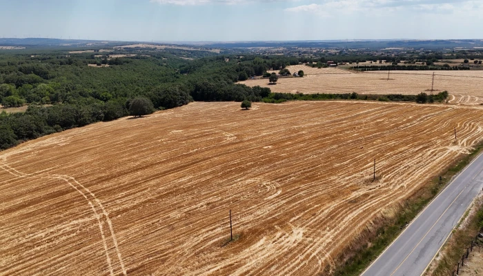 WhatsApp Image 2025-06-30 at 17.38.24.jpg