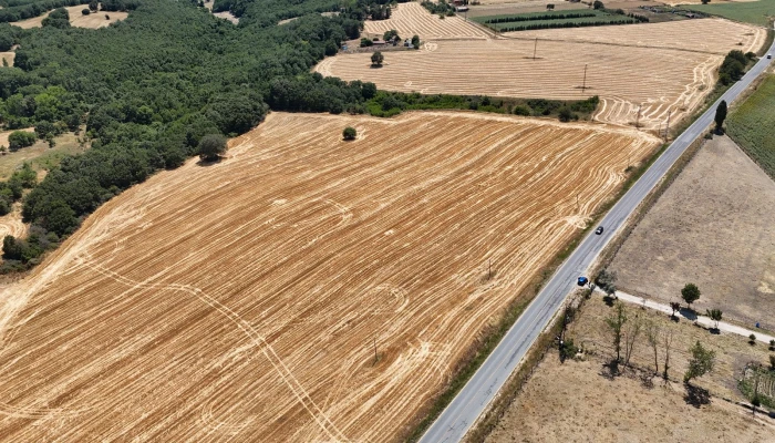 WhatsApp Image 2025-06-30 at 17.38.25.jpg