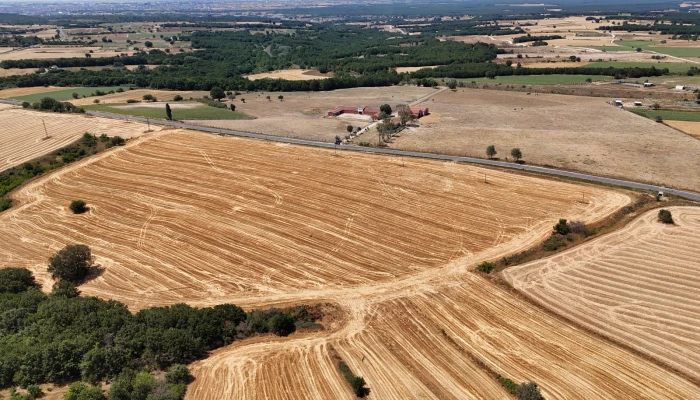 WhatsApp Image 2025-06-30 at 17.37.11.jpg