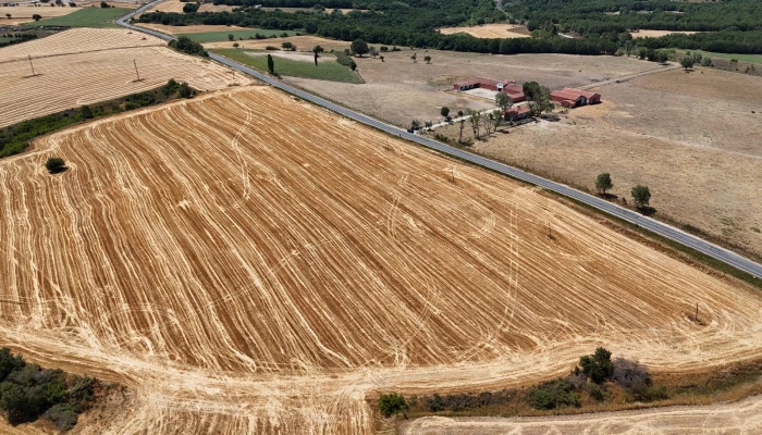 WhatsApp Image 2025-06-30 at 17.37.21.jpg