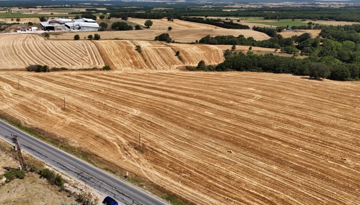 WhatsApp Image 2025-06-30 at 17.37.23.jpg