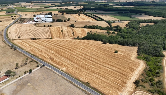 WhatsApp Image 2025-06-30 at 17.37.34.jpg