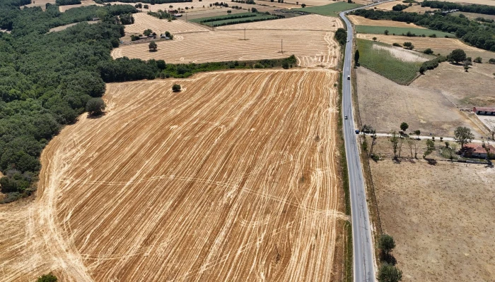 WhatsApp Image 2025-06-30 at 17.37.42.jpg