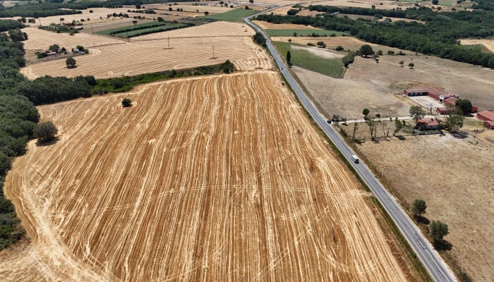 WhatsApp Image 2025-06-30 at 17.38.39.jpg