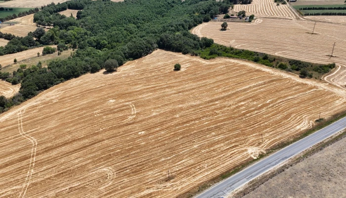 WhatsApp Image 2025-06-30 at 17.38.43.jpg