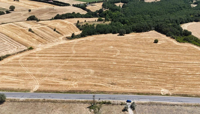 WhatsApp Image 2025-06-30 at 17.38.44.jpg