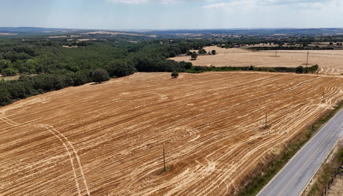 WhatsApp Image 2025-07-01 at 11.59.48.jpg