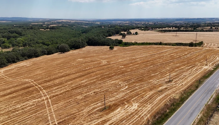 WhatsApp Image 2025-07-01 at 11.59.50.jpg