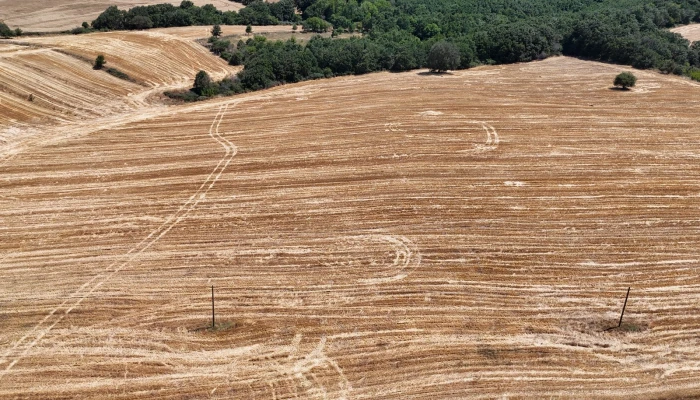 WhatsApp Image 2025-07-01 at 11.59.51.jpg