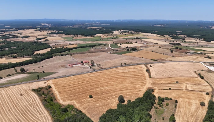 WhatsApp Image 2025-06-30 at 17.36.08.jpg