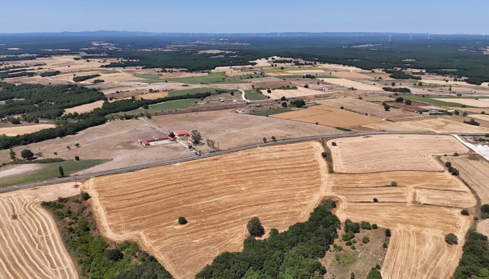 WhatsApp Image 2025-06-30 at 17.36.46.jpg