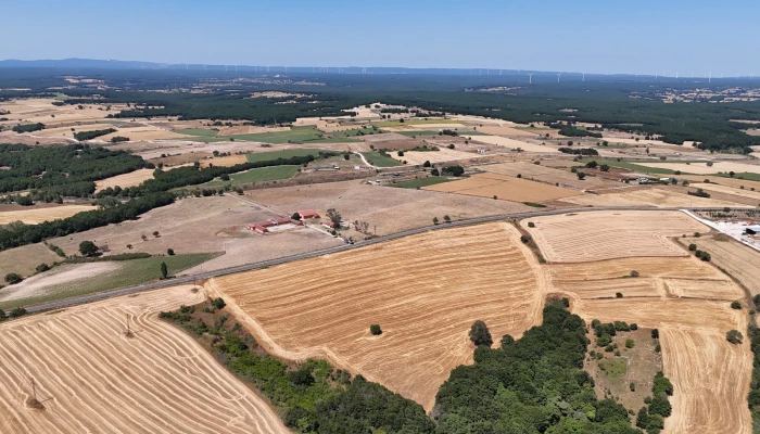 WhatsApp Image 2025-06-30 at 17.37.03 (1).jpg