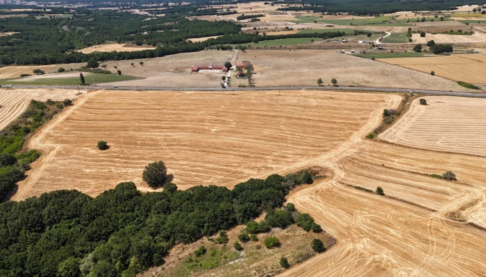 WhatsApp Image 2025-06-30 at 17.37.04.jpg