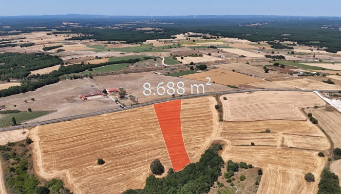 WhatsApp Image 2025-07-02 at 16.08.02.jpg