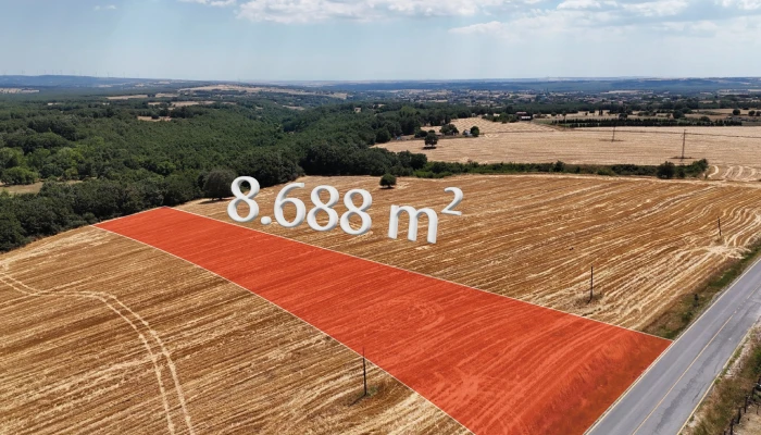 WhatsApp Image 2025-07-02 at 16.08.03.jpg