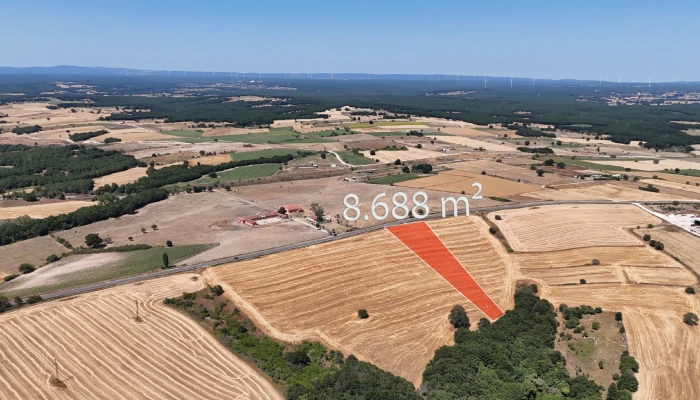 WhatsApp Image 2025-07-02 at 16.08.03 (1).jpg