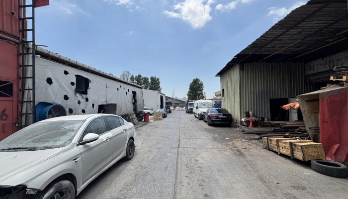 WhatsApp Image 2025-06-30 at 17.31.47.jpg