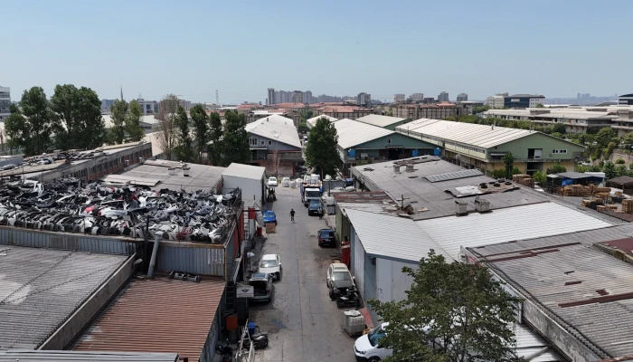 WhatsApp Image 2025-06-30 at 17.35.53.jpg