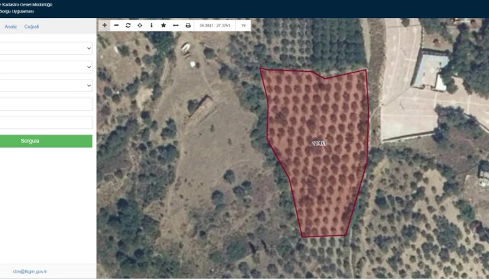 parsel sorgu büyük ölçek.jpg
