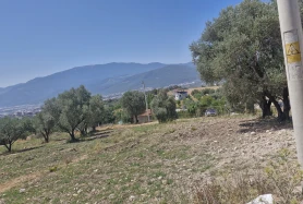 SEVİLAYODABAŞ KEMALPAŞA ULUCAK MERKEZE YAKIN 3591 M2 SATILIK ARAZI