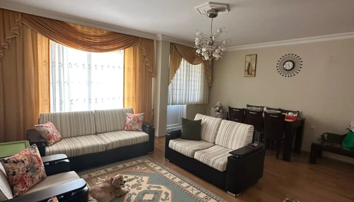 WhatsApp Image 2025-08-03 at 16.56.26 (1).jpg