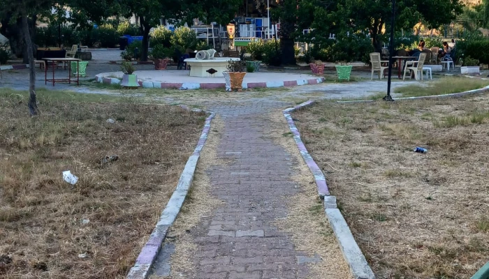 WhatsApp Image 2025-07-26 at 14.11.39.jpg