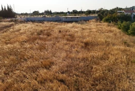 Kaynaklar' da Tek Tapu 5.241 m2 Tarla