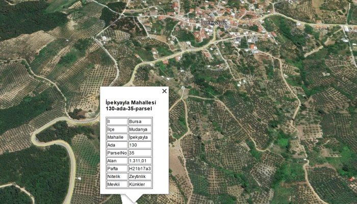 Tkgm Mudanya 130_35 L8.png