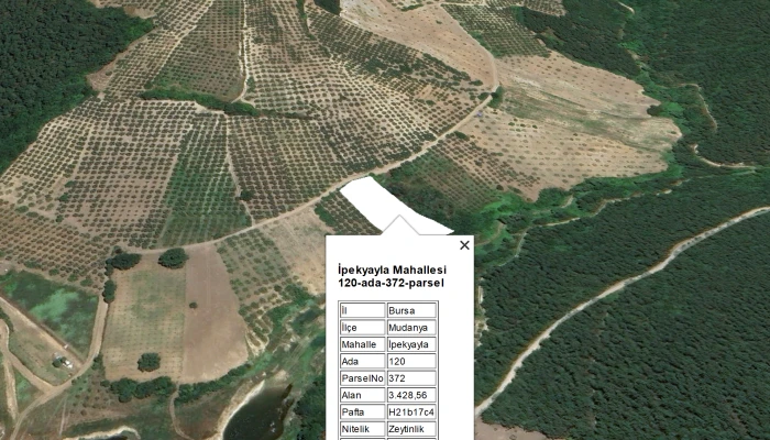 Tkgm Mudanya 120_372 L8.png