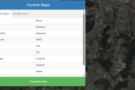 Mudanya İpekyayla 3428m² Gölet Yanında Müstakil Parsel Zeytinlik