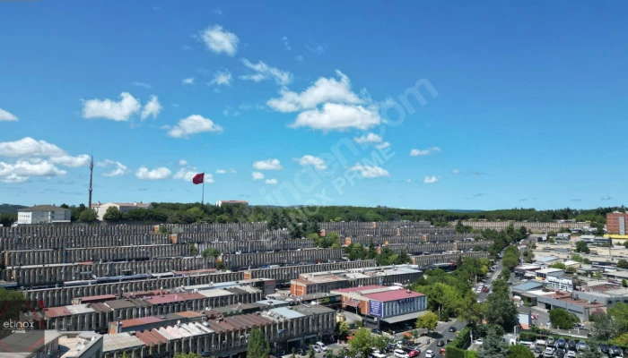 Ekran görüntüsü 2025-08-06 224819.png