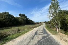 Kofçaz Malkoçlar Köyünde Yola Cephe Çaplı 415m2 Yatırımlık Tarla