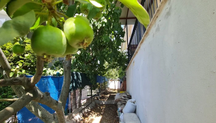 WhatsApp Image 2025-08-02 at 14.07.39 (1).jpg