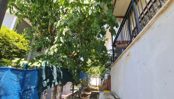 WhatsApp Image 2025-08-02 at 14.07.39 (2).jpg