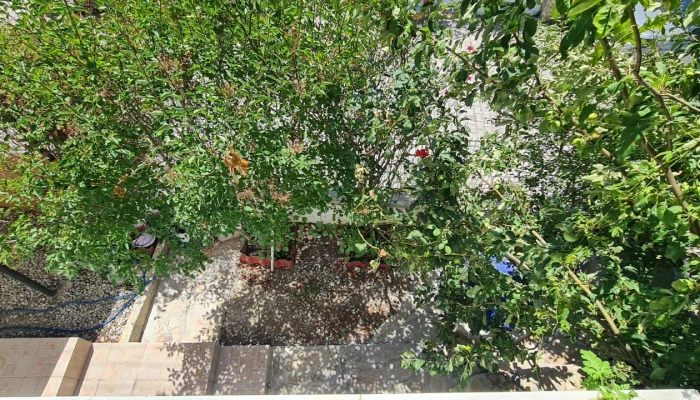 WhatsApp Image 2025-08-02 at 14.07.40.jpg