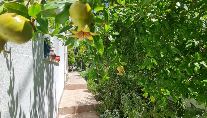 WhatsApp Image 2025-08-02 at 14.07.48.jpg