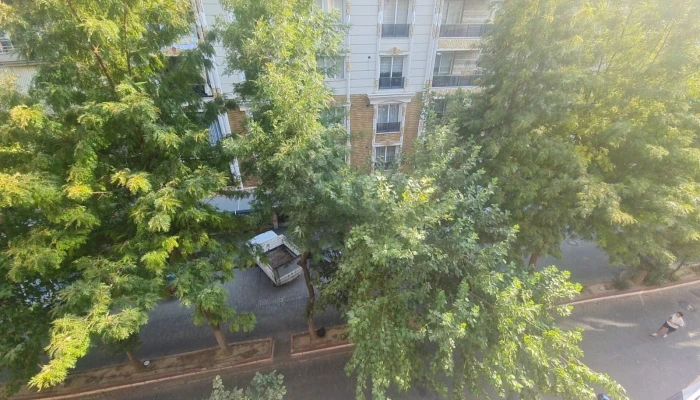 WhatsApp Image 2025-08-10 at 12.20.25 (1).jpg