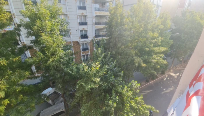 WhatsApp Image 2025-08-10 at 12.20.25.jpg