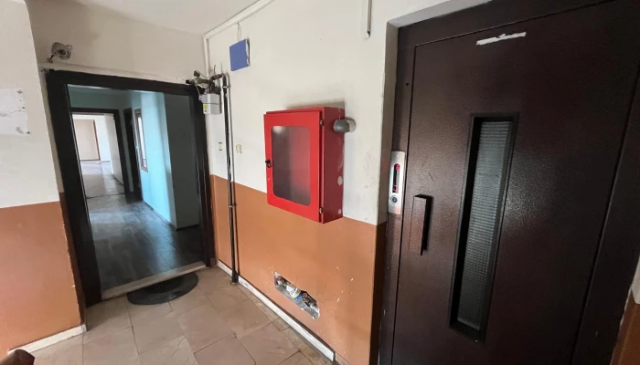 WhatsApp Image 2025-08-12 at 13.26.39.jpg