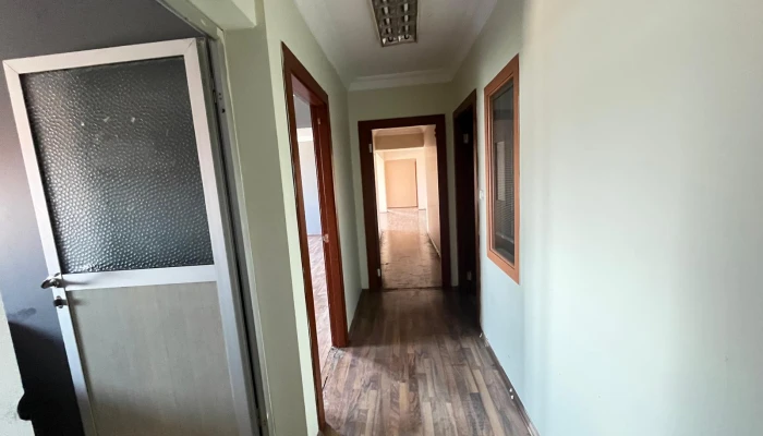 WhatsApp Image 2025-08-12 at 13.26.41 (2).jpg