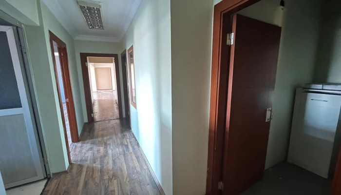 WhatsApp Image 2025-08-12 at 13.26.41.jpg