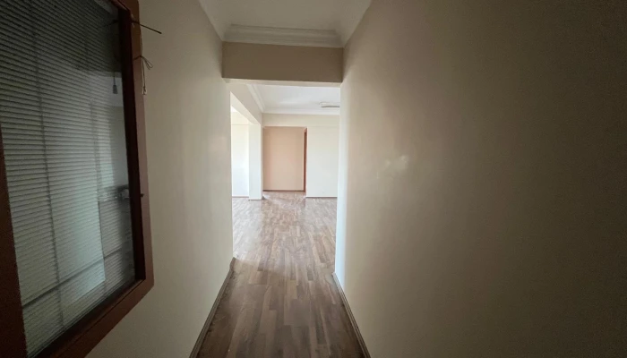 WhatsApp Image 2025-08-12 at 13.26.43.jpg