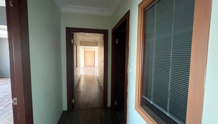 WhatsApp Image 2025-08-12 at 13.26.42 (1).jpg