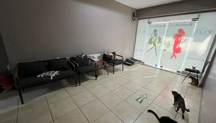 WhatsApp Image 2025-08-12 at 13.47.36 (6).jpg