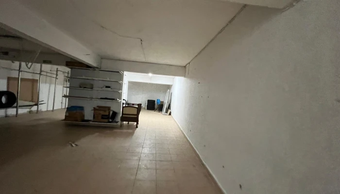 WhatsApp Image 2025-08-12 at 13.47.39.jpg