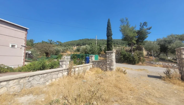 WhatsApp Image 2025-08-10 at 15.01.20.jpg