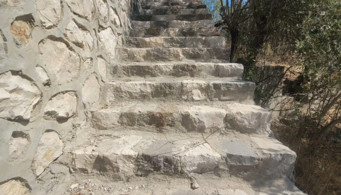 WhatsApp Image 2025-08-10 at 15.01.19.jpg