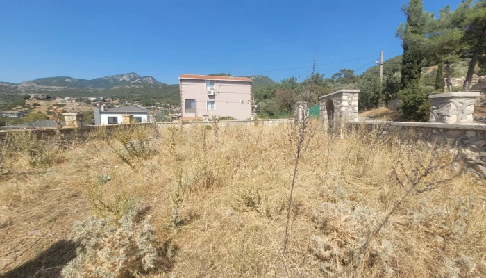 WhatsApp Image 2025-08-10 at 15.01.18 (1).jpg