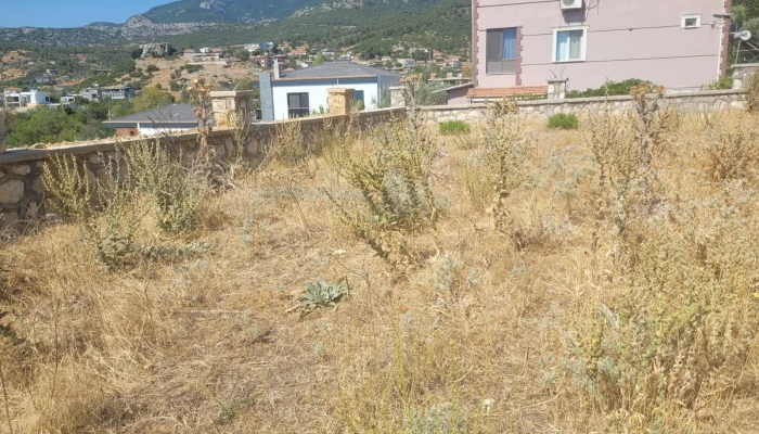 WhatsApp Image 2025-08-10 at 15.01.17 (5).jpg